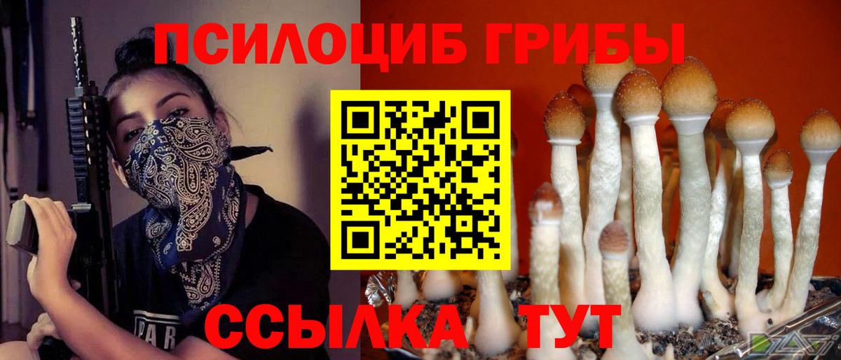 Псилоцибиновые грибы Psilocybe Россошь